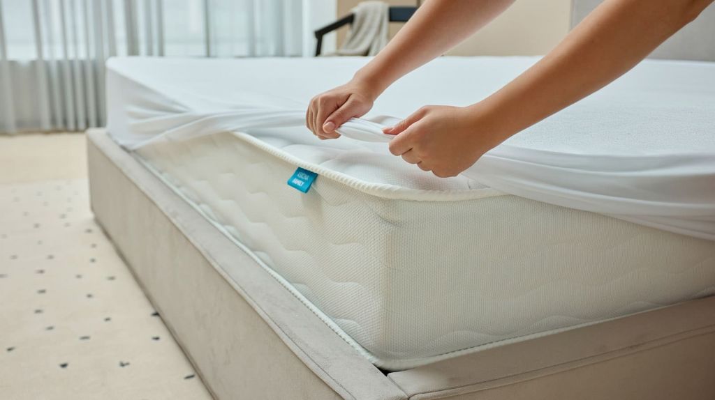 terry_6.jpg